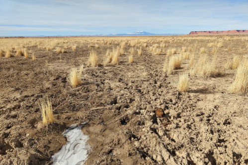 Navajo Nation