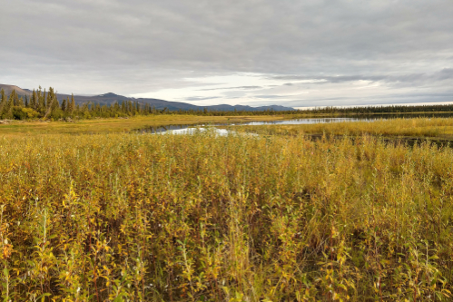 Aklavik Range, Canada