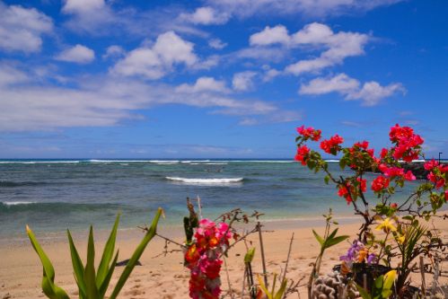 Honolulu, Hawaiʻi