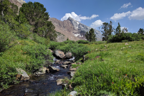 Sierra Nevada, California