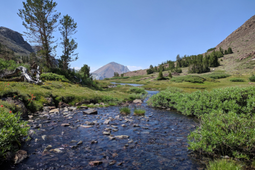 Sierra Nevada, California