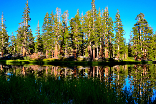 Sierra Nevada, California