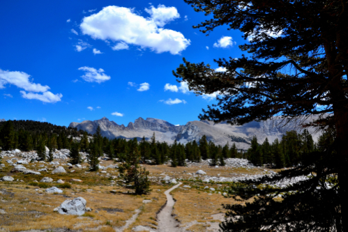 Sierra Nevada, California